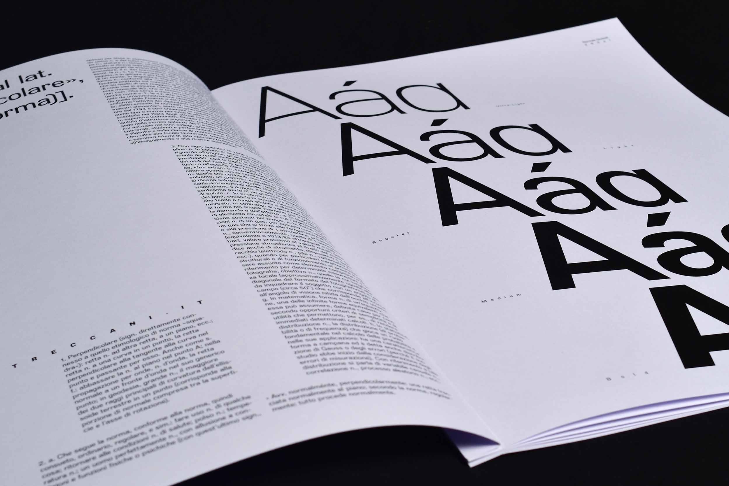 Interno dello specimen del font Normale Grotesk