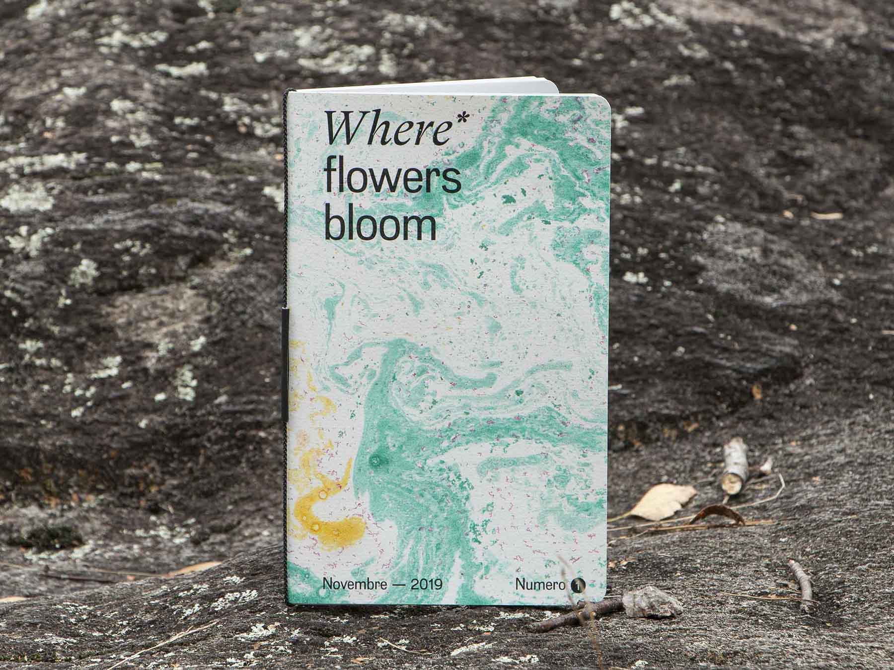 Where Flowers Bloom Kit primo numero uno della rivista